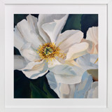 Quiet Strength in White Fine Art Prints