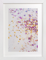 Kaleidoscope Petals Fine Art Prints