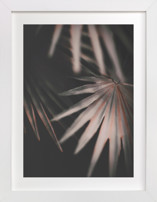 Copper Ferns 2 Fine Art Prints