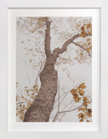 Be Still I Fine Art Prints