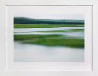 Lush Glades l Fine Art Prints