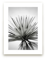 Midsummer Haze by Melissa Agular