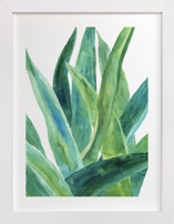 Tropical plants I Fine Art Prints