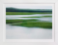 Lush Glades l Fine Art Prints