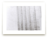 Shape and Shadow by Emily Kariniemi