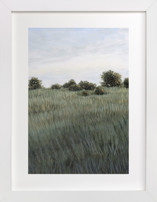 Midafternoon Fine Art Prints