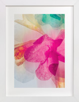 A Floral Dream II Fine Art Prints