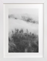 Hillside Fog Fine Art Prints