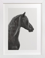 Dark Horse Fine Art Prints