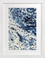 Zuma Fine Art Prints