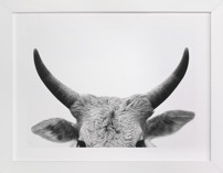 Jane Gallagher Fine Art Prints