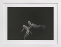 Franz + Ferdinand Fine Art Prints