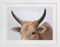 Nelly Dean Fine Art Prints