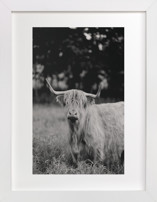 Annie Moffat Fine Art Prints