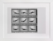 The Worm in Motion Fine Art Prints