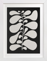 Black Plant II Fine Art Prints