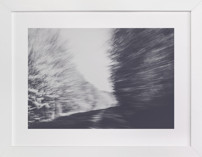 Tree line Fine Art Prints