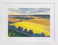 Amber Fields Fine Art Prints