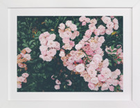 Shining Statement Fine Art Prints