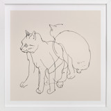 Sketches after cat II Fine Art Prints