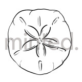 Sand Dollar Design Element