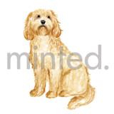 Cockapoo Design Element