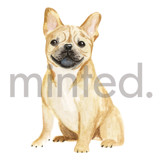 French Bulldog Design Element