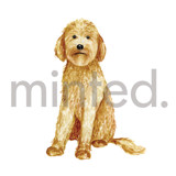 Golden Doodle Design Element