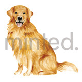 Golden Retriever Design Element