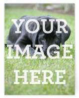 Portrait Custom Foil-Pressed Stationery