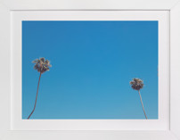 Space & Boundaries I Fine Art Prints