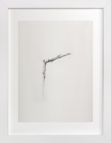 Twig- Solitude 01 Fine Art Prints