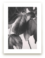 Gather & Gaze by Alicia Youngken