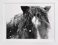 End Of The Storm Fine Art Prints