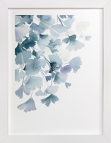 Blue Ginkgo Fine Art Prints