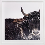 Forever Fine Art Prints