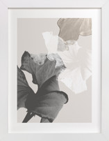 Refractions Fine Art Prints