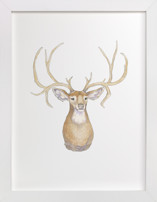 Deer Mr. Buck Fine Art Prints