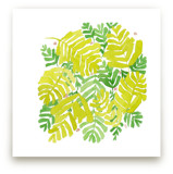 fresh leaf by Tae Lee