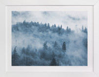 misty forest Fine Art Prints