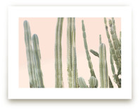 Peachy Cactus Print by Wilder California