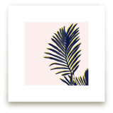 Palm Study #2 by Cindy Lackey