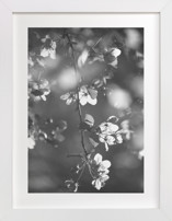 Vintage Blossoms I Fine Art Prints