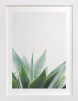 Balboa Park Fine Art Prints