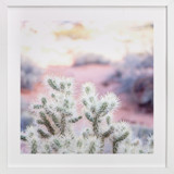 Hello Cactus Fine Art Prints