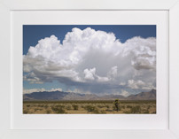 desert drive by Fine Art Prints