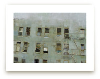 Windows by Hadas Tal