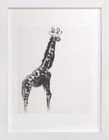 Simply Curious Fine Art Prints