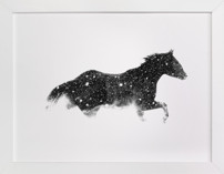 Snow Chaser Fine Art Prints