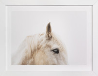 Le Creme Cheval Fine Art Prints